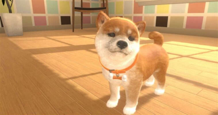 Un joueur retrouve ses chiens abandonnés dans Nintendogs et c'est la meilleure chose que vous verrez aujourd'hui.