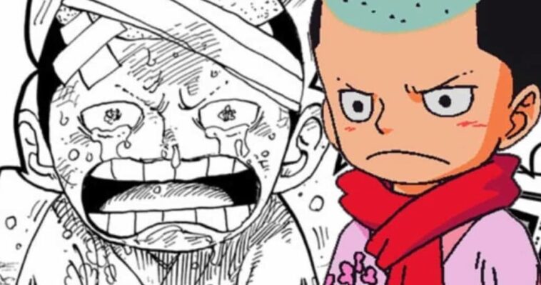 One Piece révèle la forme adulte de Momonosuke
