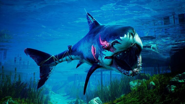 Anunciado Maneater Apex Edition para Xbox