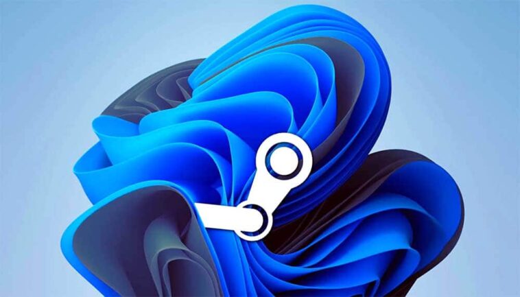 Windows 11 est l'OS de prédilection de plus de 20 % des utilisateurs de Steam