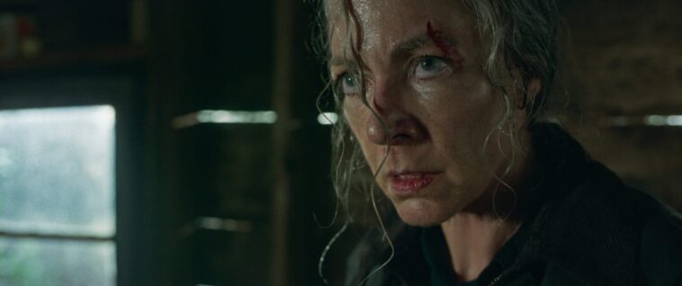 Y aura-t-il une suite de Lou avec Allison Janney ?