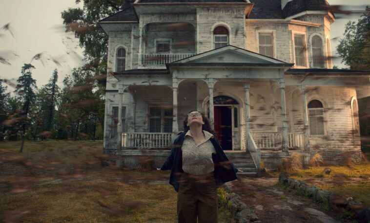 5 meilleures émissions Netflix le week-end d'Halloween 2022 : Cabinet de curiosités