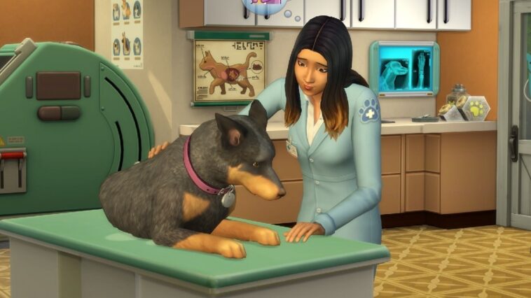 Un nouveau bug dans Les Sims 4 provoque des tragédies animales.