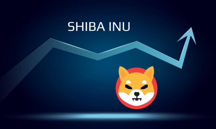 Un guide complet sur l'achat de pièces Shiba Inu - Trotons Tech Magazine