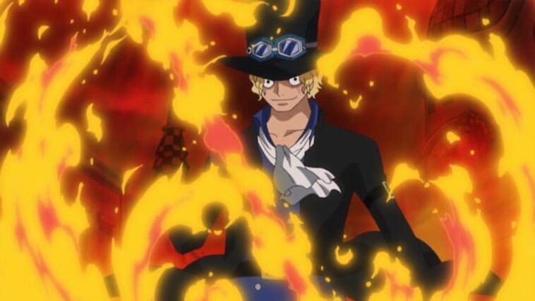 Ce personnage de One Piece suscite beaucoup de confusion chez les fans.