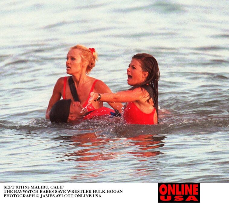 Où regarder la série Baywatch : Est-ce sur Netflix ?