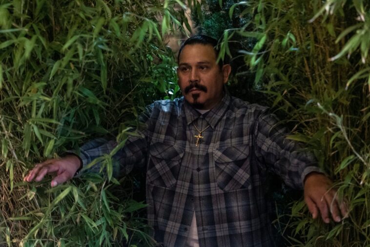 Comment la sorcière post-mortem est-elle connectée à Chivo de On My Block ?