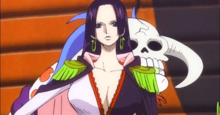 ce personnage a peut-être surpassé Boa Hancock en puissance.