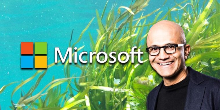 Microsoft utilisera des algues pour réduire les émissions de carbone d'ici à 2030