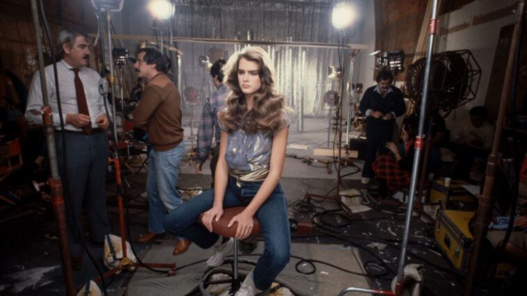 Brooke Shields sur Netflix ?  (où regarder)