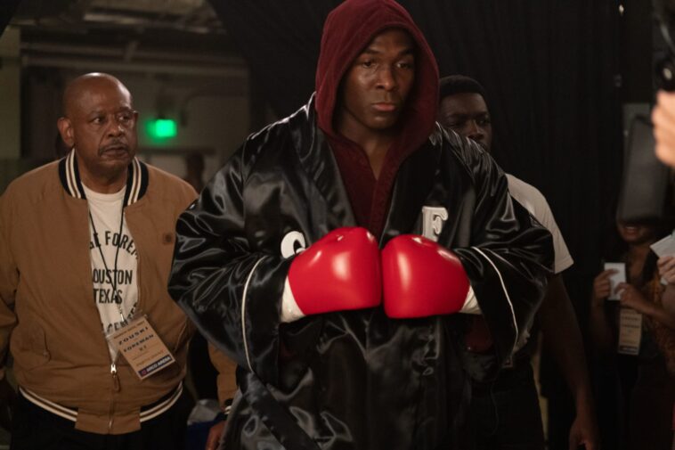 Big George Foreman est-il sur Netflix ?  (où regarder)