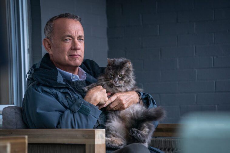 Le film de Tom Hanks convient-il aux enfants ?