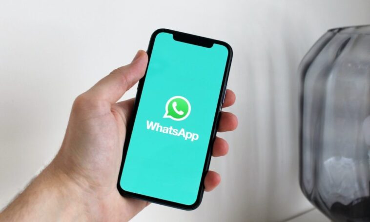 WhatsApp pourrait bientôt lancer des fonctionnalités de nom d'utilisateur - Trotons Tech Magazine