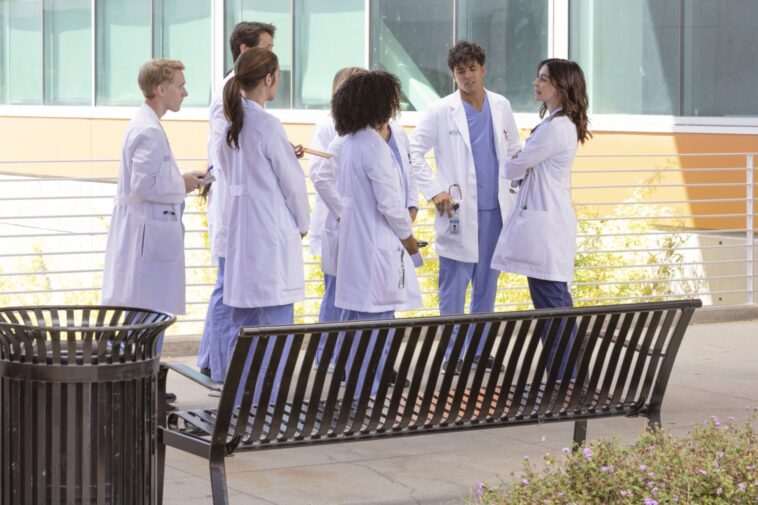 Combien y a-t-il d'épisodes dans la saison 19 de Grey's Anatomy ?