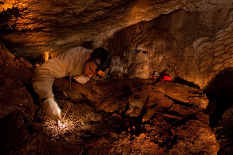 De quoi parle le documentaire ?