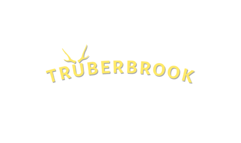 Trüberbrook
