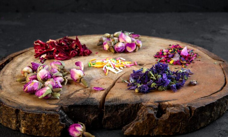 Les fleurs comme guérisseurs : les bienfaits thérapeutiques de la médecine florale - Trotons Tech Magazine