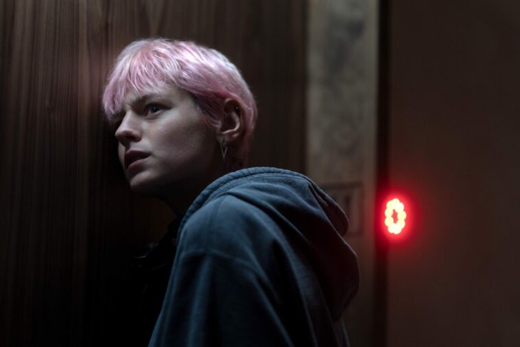 Un meurtre au bout du monde est-il diffusé sur Netflix ?