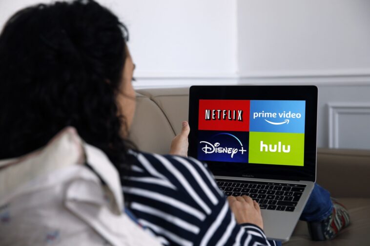Dashing Through the Snow est-il sur Netflix (où regarder)