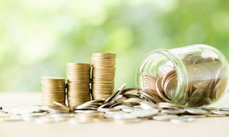 Les meilleures options de prêt en ligne au Sri Lanka - Trotons Tech Magazine