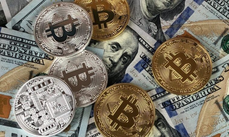 Donner du pouvoir aux commerçants : les solutions de crypto-monnaie transparentes d'OpenCart - Trotons Tech Magazine