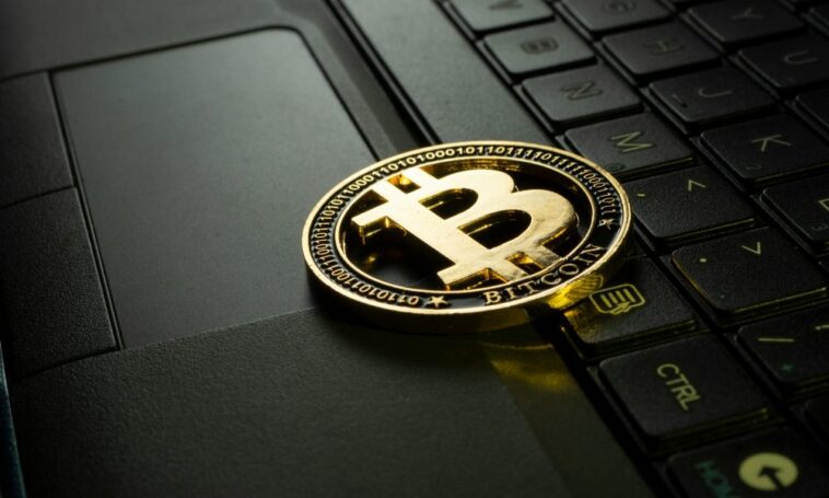 Donner du pouvoir aux commerçants : les solutions de crypto-monnaie transparentes d'OpenCart - Trotons Tech Magazine