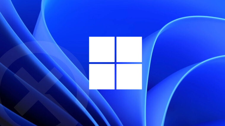 Windows 11