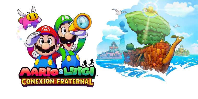 Connexion fraternelle sur My Nintendo Store