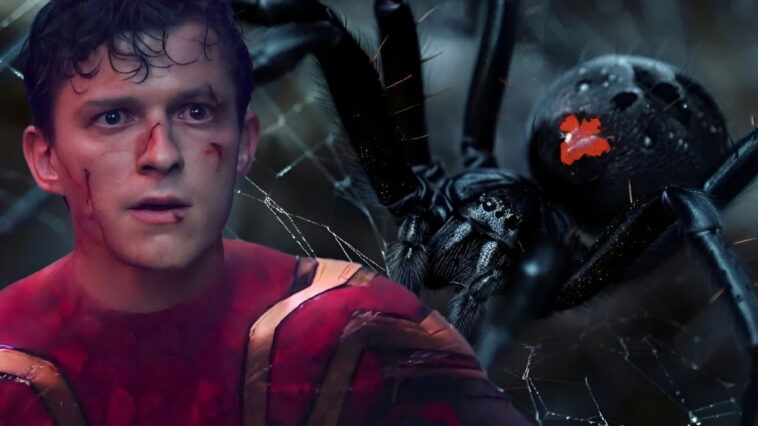 L'origine de Spider-Man est officiellement réécrite aux studios Marvel