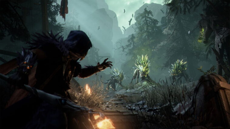 Mistfall Hunter surprend avec son annonce dans le Xbox Partner Preview