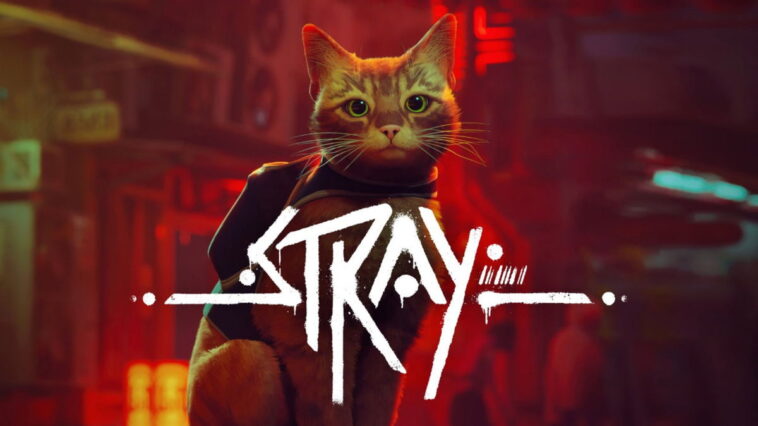 Stray sortira en format physique sur Nintendo Switch