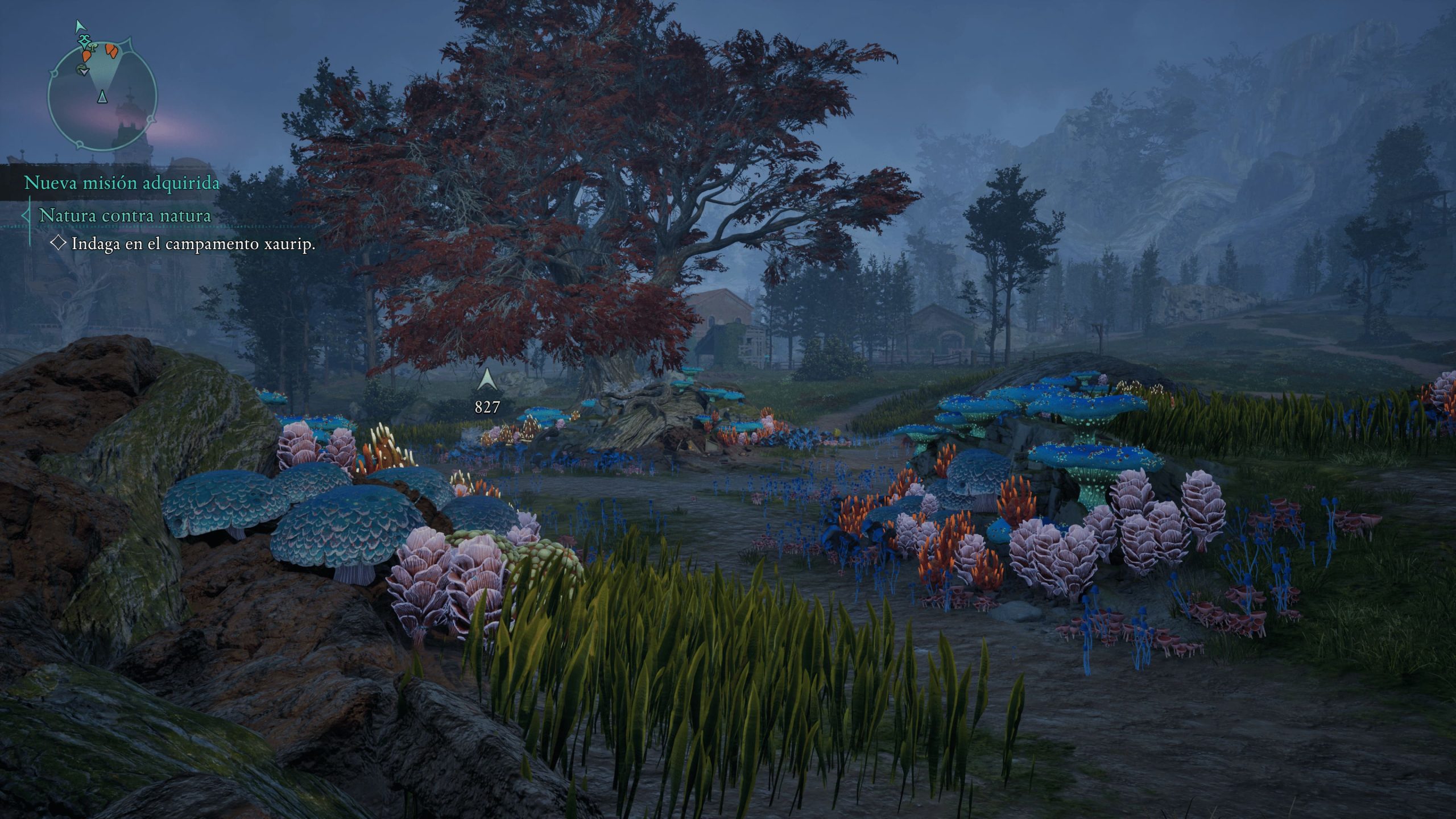 AVOYED 05_02_2025 0_47_26 (1)