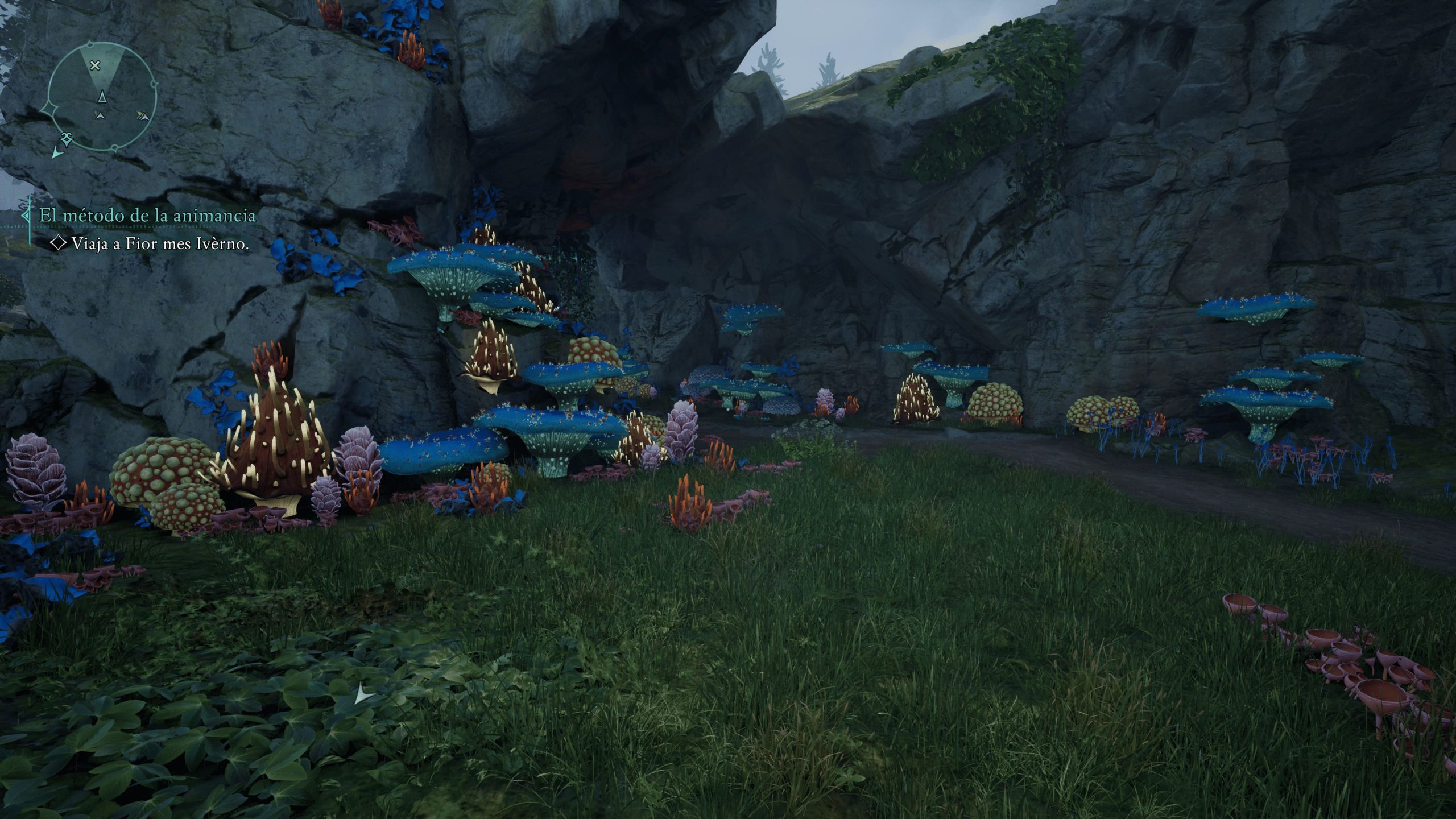 AVOYED 05_02_2025 1_43_14 (1)