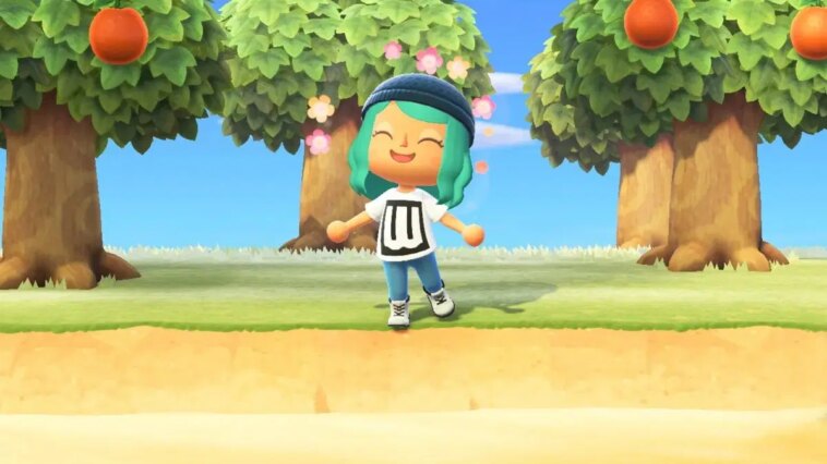 Le nouvel animal de croisement pour Nintendo Switch 2 a peut-être révélé ses premiers détails