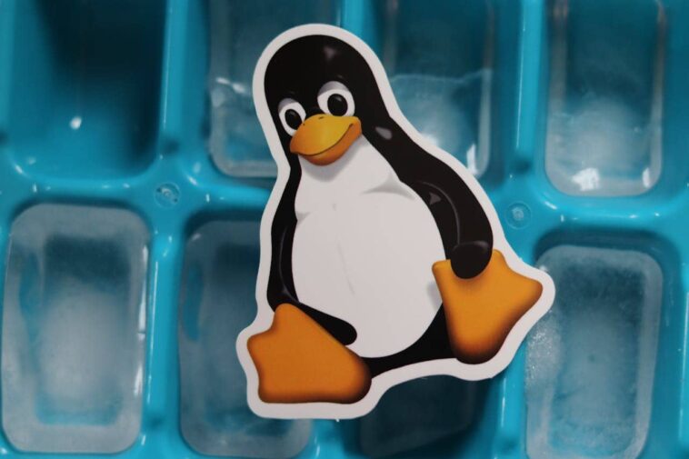 Linux Pingouin
