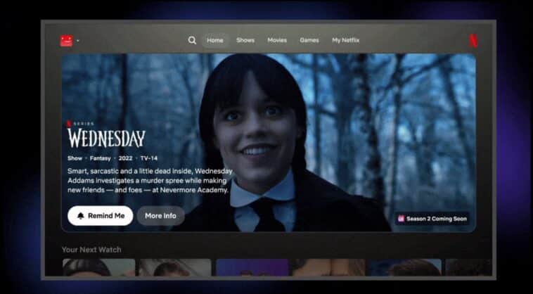 Netflix interface