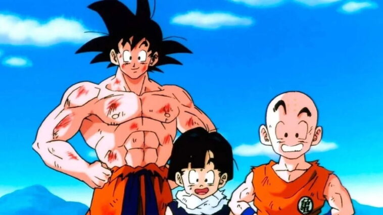 Goku n'est pas la vraie raison du succès de Dragon Ball et c'est la raison qui le démontre