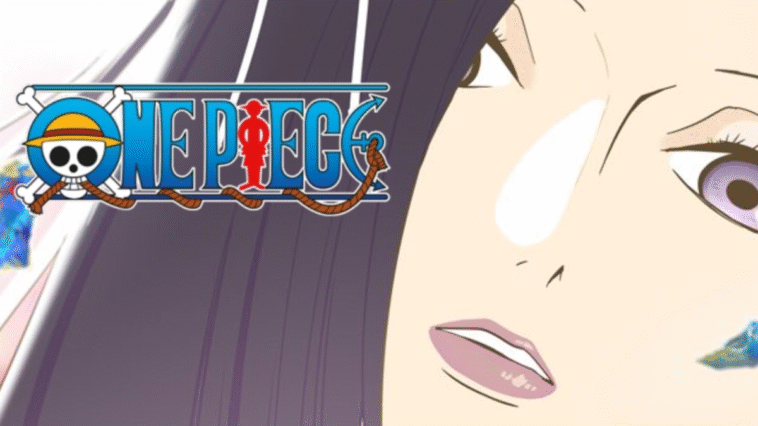 One Piece aura un nouvel anime avec des personnages féminins