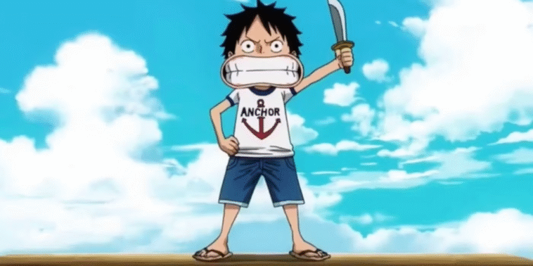 Une pièce résout l'une des grandes inconnues de la mère de Luffy
