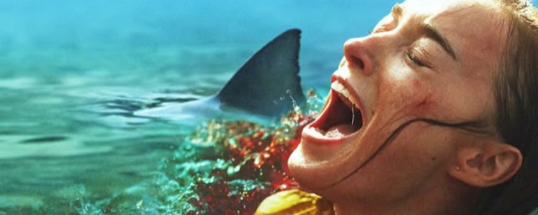 Un nouveau film de requins va bientôt vous terrifier sur Netflix