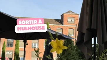 5 idées sorties à Mulhouse ce week-end du 12 au 14 juin pour ne pas rester chez vous
