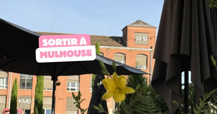5 idées sorties à Mulhouse ce week-end du 12 au 14 juin pour ne pas rester chez vous