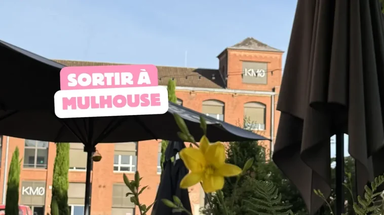 5 idées sorties à Mulhouse ce week-end du 12 au 14 juin pour ne pas rester chez vous