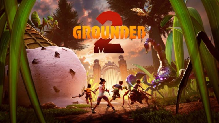 Grounded 2 WP
